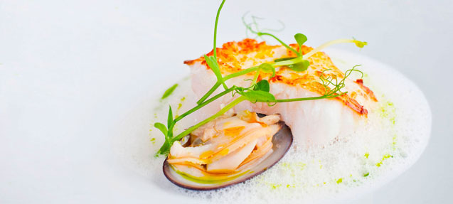 Designer dish: white fish and shellfish